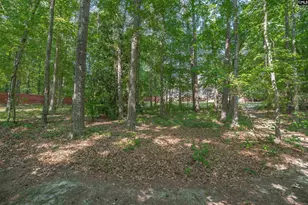 205 Fair Ridge Rd, Blythewood, SC 29016 - Photo 44