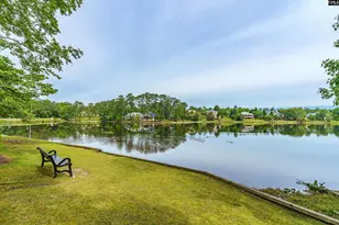 516 Bridgecreek Dr, Columbia, SC 29229 - Photo 60