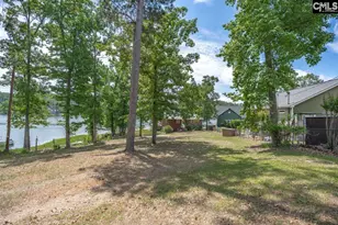 1137 Hilton Point Rd, Chapin, SC 29036 - Photo 22