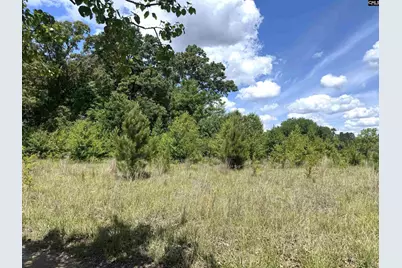 1536 Conagree Road, Hopkins, SC 29061 - Photo 4
