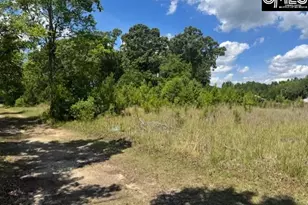 1536 Conagree Rd, Hopkins, SC 29061 - Photo 2
