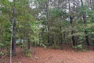 500 Bowman Ave, Elgin, SC 29045 - Photo 8