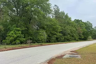500 Bowman Ave, Elgin, SC 29045 - Photo 6