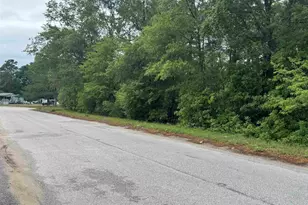 500 Bowman Ave, Elgin, SC 29045 - Photo 4