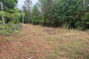 500 Bowman Ave, Elgin, SC 29045 - Photo 2