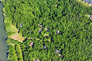 1 Broad Bluff Ct, Irmo, SC 29063 - Photo 50