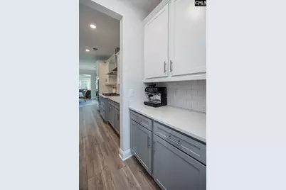 163 Highgate Lane, Chapin, SC 29036 - Photo 14