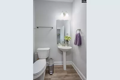 163 Highgate Lane, Chapin, SC 29036 - Photo 16