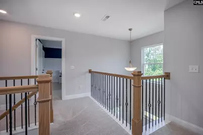 163 Highgate Lane, Chapin, SC 29036 - Photo 24