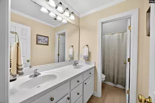 401 Sienna Dr, Chapin, SC 29036 - Photo 38