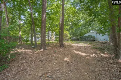 221 Baron Road, Lexington, SC 29072 - Photo 42