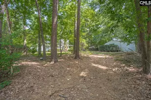 221 Baron Rd, Lexington, SC 29072 - Photo 42