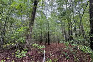 Oakhill 5, Eastover, SC 29044 - Photo 4