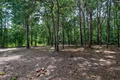 50 Nature Lane, Elgin, SC 29045 - Photo 46