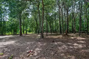50 Nature Ln, Elgin, SC 29045 - Photo 46