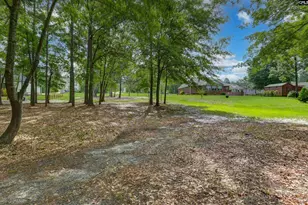 120 Living Waters Blvd, Lexington, SC 29073 - Photo 4