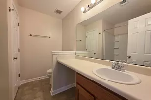 559 Foxstone Dr, Chapin, SC 29036 - Photo 20