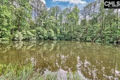 18 Upper Pond Road, Columbia, SC 29223 - Photo 52