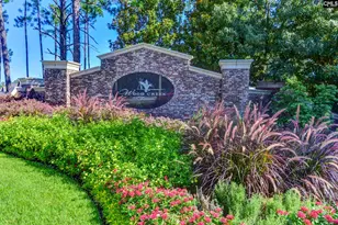 174 Backspin Dr, Elgin, SC 29045 - Photo 46
