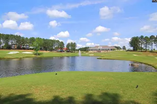 688 Scarlett Baby Dr, Blythewood, SC 29016 - Photo 46