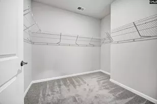 409 Layup Cir, Elgin, SC 29045 - Photo 20
