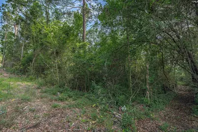 5318 Pinestraw Road, Columbia, SC 29206 - Photo 46