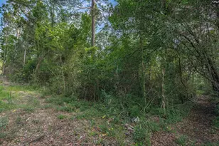 5318 Pinestraw Rd, Columbia, SC 29206 - Photo 46