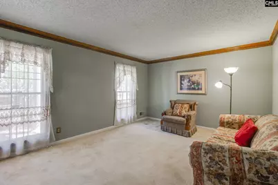 240 Spring Valley Road, Columbia, SC 29223 - Photo 8