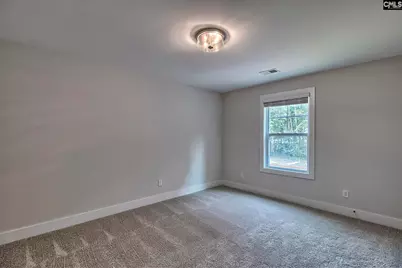 196 Wild Orchard (Lot 81) Lane, Lugoff, SC 29078 - Photo 28