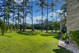331 E Arrowleaf Ln, Elgin, SC 29045 - Photo 72