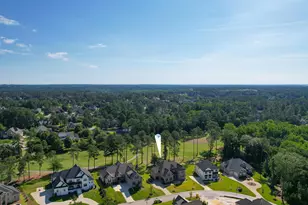 331 E Arrowleaf Ln, Elgin, SC 29045 - Photo 4