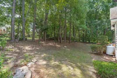 130 Chestnut Woods Lane, Columbia, SC 29212 - Photo 34