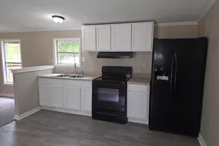 132 Elijah Ln, Pelion, SC 29123 - Photo 6
