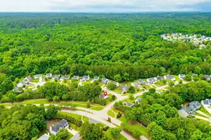 1 Cedar Field Ct, Columbia, SC 29212 - Photo 34
