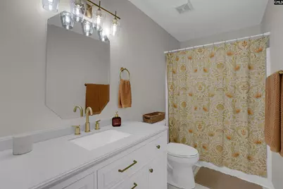 209 Alice Drive, Chapin, SC 29036 - Photo 24