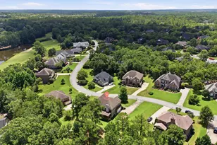 432 Beaumont Park Cir, Blythewood, SC 29016 - Photo 52