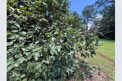 2370 Old Douglass Road, Winnsboro, SC 29180 - Photo 42