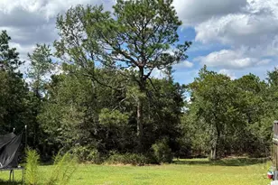 180 Crystal Springs Dr, Lexington, SC 29073 - Photo 2