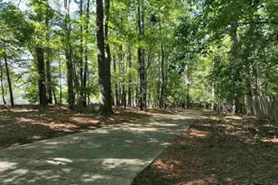 14 Saddleback Ledge Ct, Irmo, SC 29063 - Photo 42
