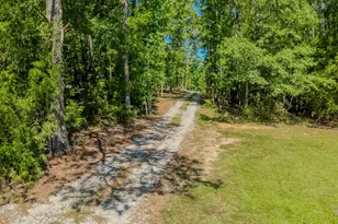 11848 Broad River Rd, Chapin, SC 29036 - Photo 44