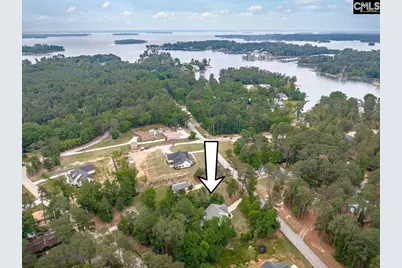 1209 Richard Franklin Road, Chapin, SC 29036 - Photo 2