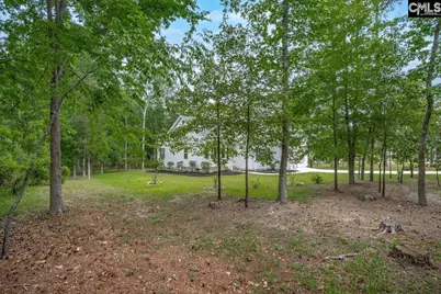1209 Richard Franklin Road, Chapin, SC 29036 - Photo 24