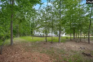 1209 Richard Franklin Rd, Chapin, SC 29036 - Photo 24