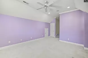 210 Lake Vista Dr, Chapin, SC 29036 - Photo 60