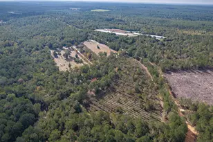 230 Mountain View Rd, Batesburg, SC 29006 - Photo 18