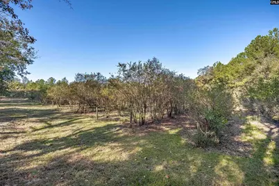 230 Mountain View Road, Batesburg, SC 29006 - Photo 4