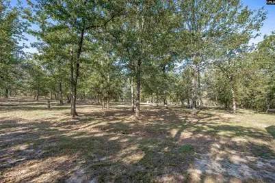 230 Mountain View Road, Batesburg, SC 29006 - Photo 10