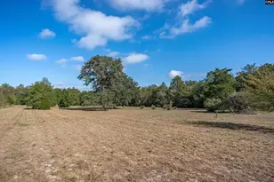230 Mountain View Rd, Batesburg, SC 29006 - Photo 34