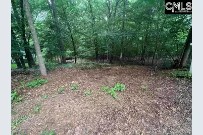 105 Silver Lake Circle, Columbia, SC 29212 - Photo 1