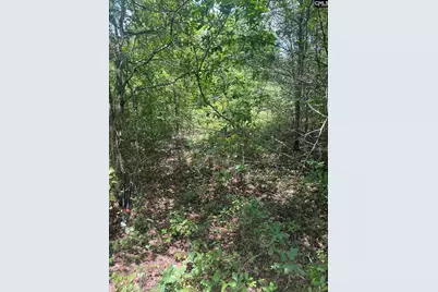 Rutherford Road, Lexington, SC 29073 - Photo 1